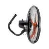 Quạt treo tường bán công nghiệp ASIAVINA L20002-DV0