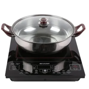 Bếp từ Sharp CY-205FB