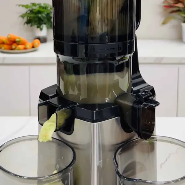 Máy Ép Chậm Tapuho TSJ68