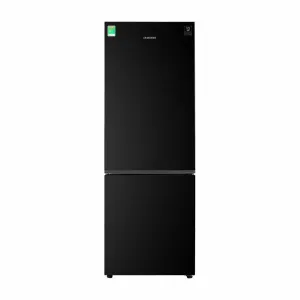 Tủ lạnh Samsung Inverter 310 lít RB30N4010BU/SV