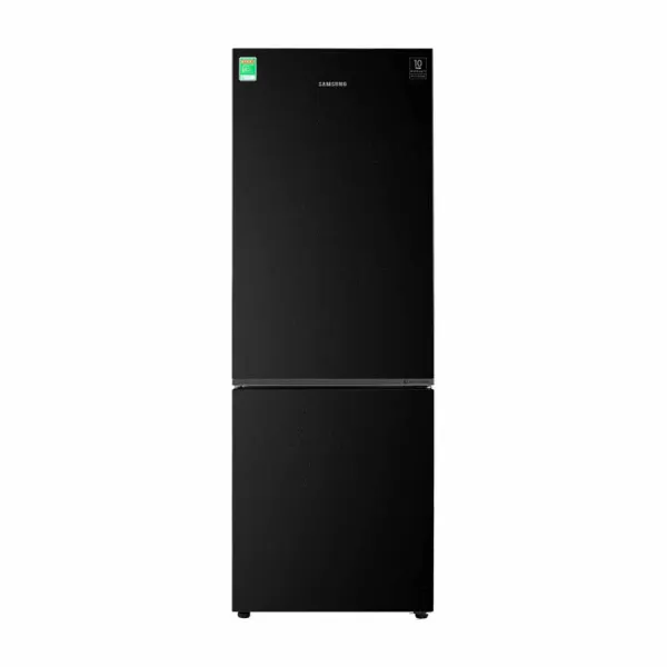 Tủ lạnh Samsung Inverter 310 lít RB30N4010BU/SV