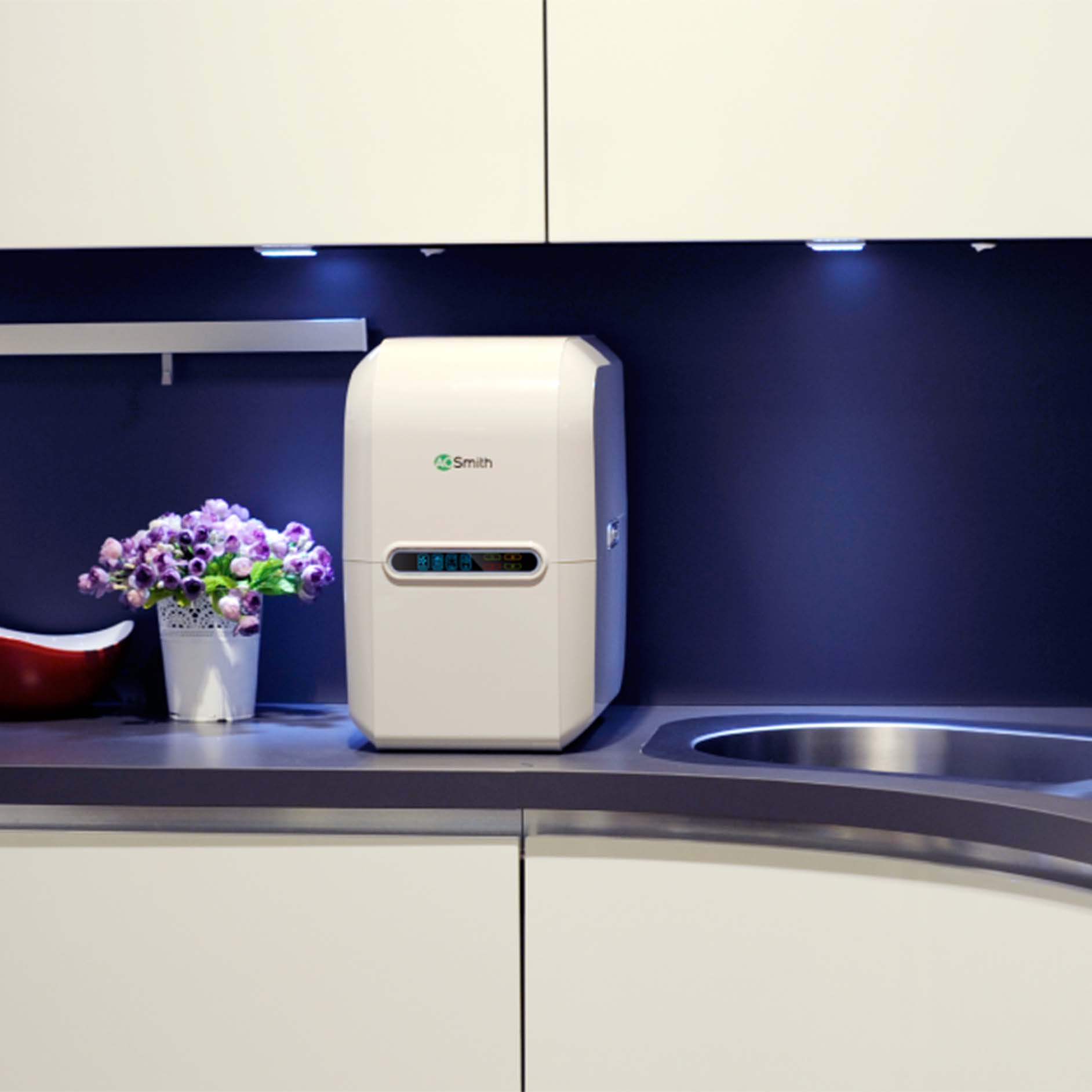 Ảnh thực tế Máy lọc nước RO dưới chậu rửa A.O Smith AR75-A-S-2