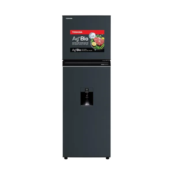 Tủ lạnh Toshiba 249 lít GR-RT325WE-PMV(06)-MG