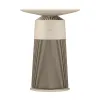 Máy lọc không khí LG PuriCare Aero Furniture AS20GPBK0