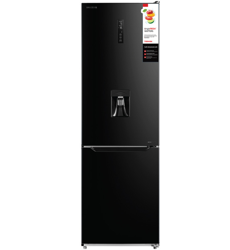 Tủ lạnh Toshiba Inverter 294 lít GR-RB385WE-PMV(30)-BS