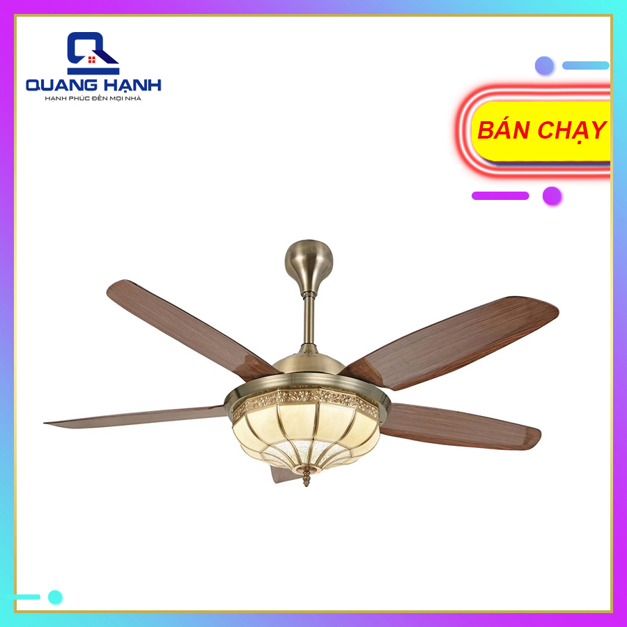 Quạt trần đèn hiện đại HomeFan AC – HL-FAN803 - toàn cảnh sản phẩm