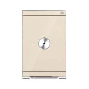 Két sắt Philips SBX602-6CU 89kg