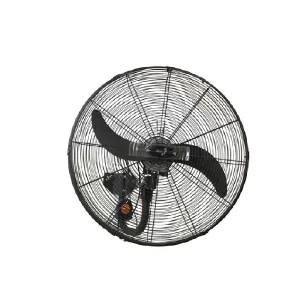 Quạt treo tường công nghiệp ASIAVINA L24001-DV0