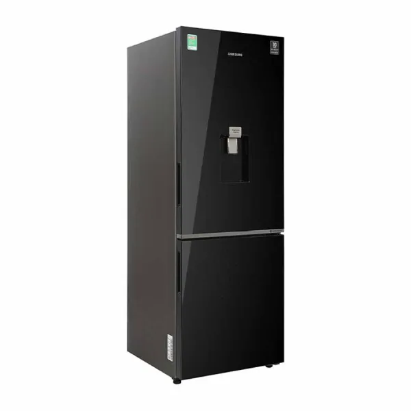 Tủ lạnh Samsung Inverter 307 lít RB30N4190BU/SV