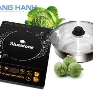 Bếp từ Bluestone ICB-6607