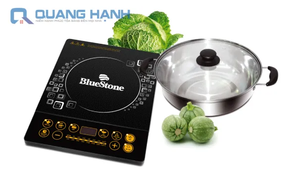 Bếp từ Bluestone ICB-6607