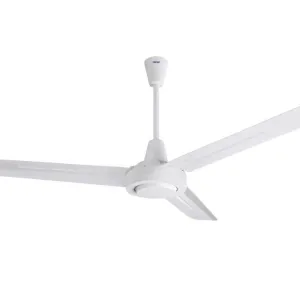 Quạt trần 3 cánh Hatari C48M1