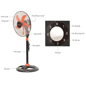 Quạt đứng Asia mẫu mới 5 cánh D18003