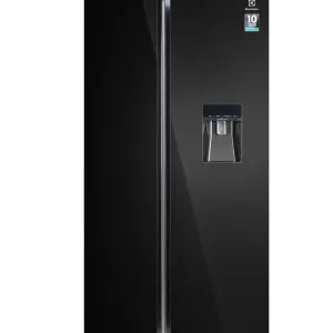 Tủ lạnh Electrolux Inverter 619 lít ESE6645A-B