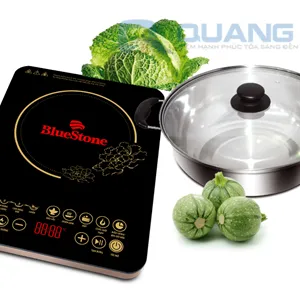 Bếp từ Bluestone ICB-6677