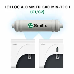 Lõi lọc A.O Smith GAC Min-Tech (C1/C2)