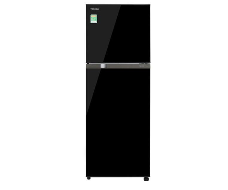 Tủ lạnh Toshiba Inverter 233 lít GR-A28VM(UKG1)