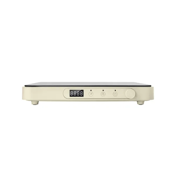 Bếp từ đơn Elmich ICE 3879AW