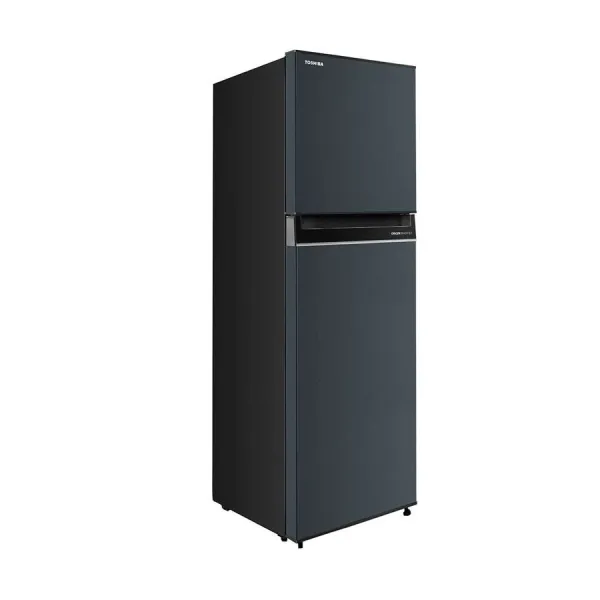 Tủ lạnh Toshiba 253 lít GR-RT329WE-PMV(52)