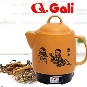 Ấm sắc thuốc tự động Gali GL-1801