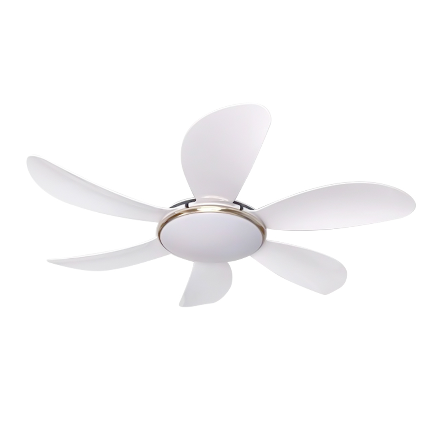 Quạt trần chung cư AIRFUSION AKAMANI 06W
