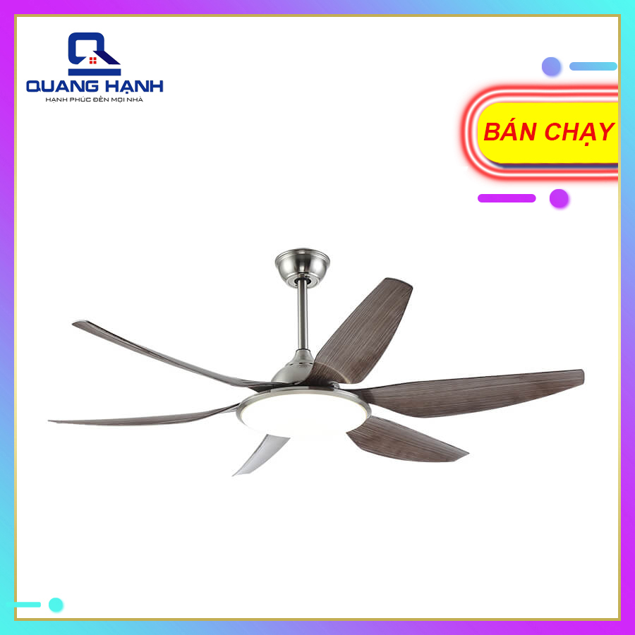 Quạt trần có đèn trang trí Homefan HL-FAN693 - toàn cảnh sản phẩm