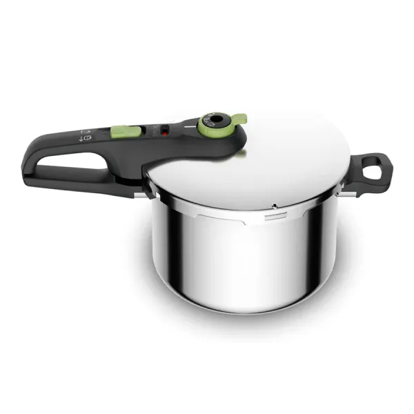 Nồi áp suất Inox cao cấp Tefal Secure Trendy 6L P2580702