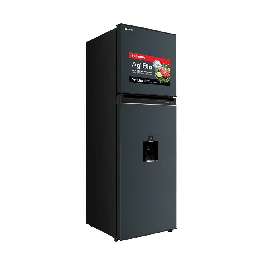 Tủ lạnh Toshiba 249 lít GR-RT325WE-PMV(06)-MG