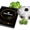 Bếp từ Bluestone ICB-6633