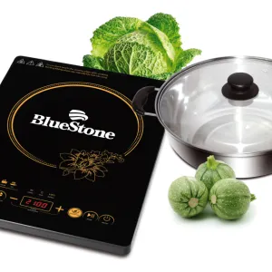 Bếp từ Bluestone ICB-6633