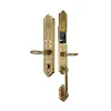 Khóa điện tử Hubert HB DSI8 EU GOLD 24K