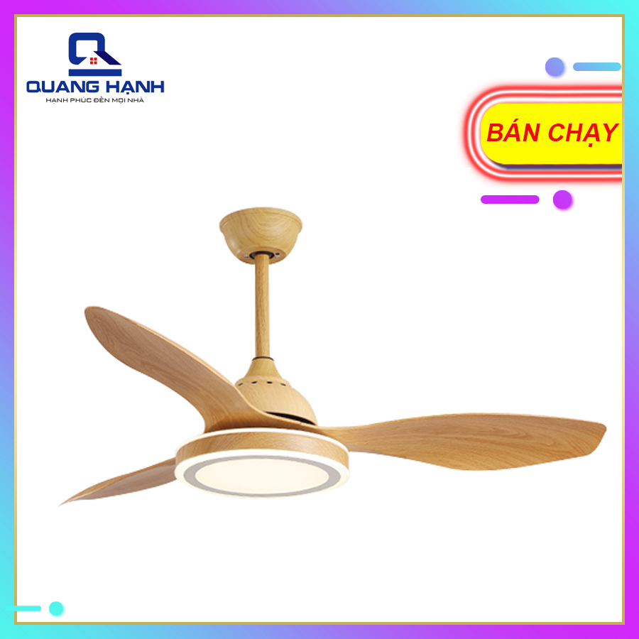 Quạt trần đèn hiện đại Homefan HL-FAN692V - toàn cảnh sản phẩm