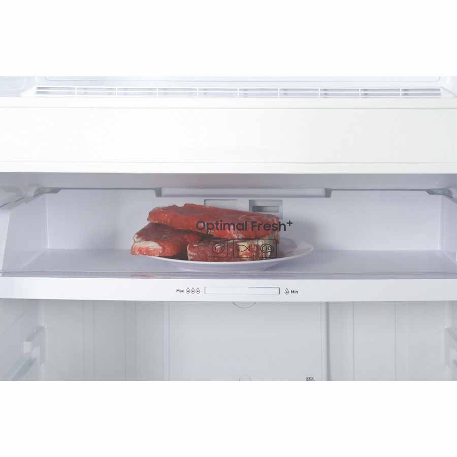 Tủ lạnh Samsung Inverter 406 lít RT42CG6584B1SV