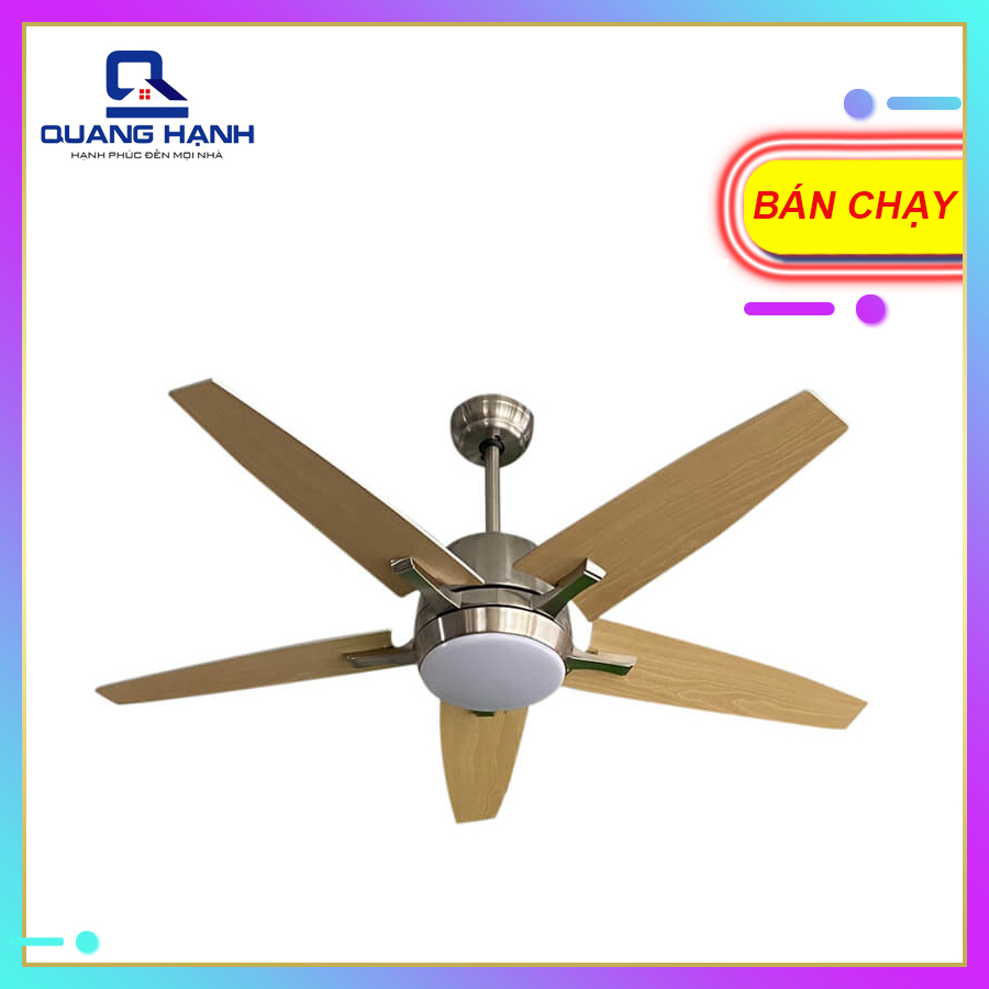 Quạt trần đèn hiện đại Homefan HL-FAN811 - toàn cảnh sản phẩm