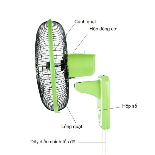 Quạt treo tường ASIAVINA VY357290