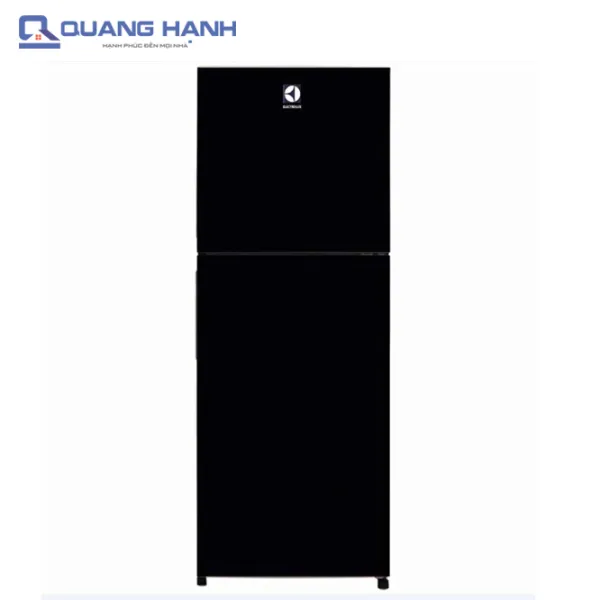 Tủ lạnh Electrolux ETB2102BG 210 lít