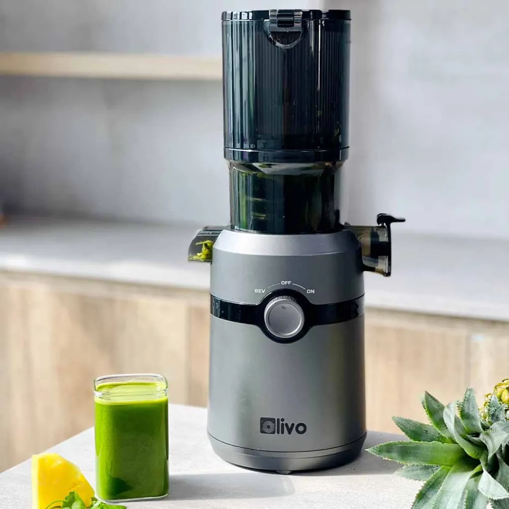 Máy ép chậm Olivo SJ240
