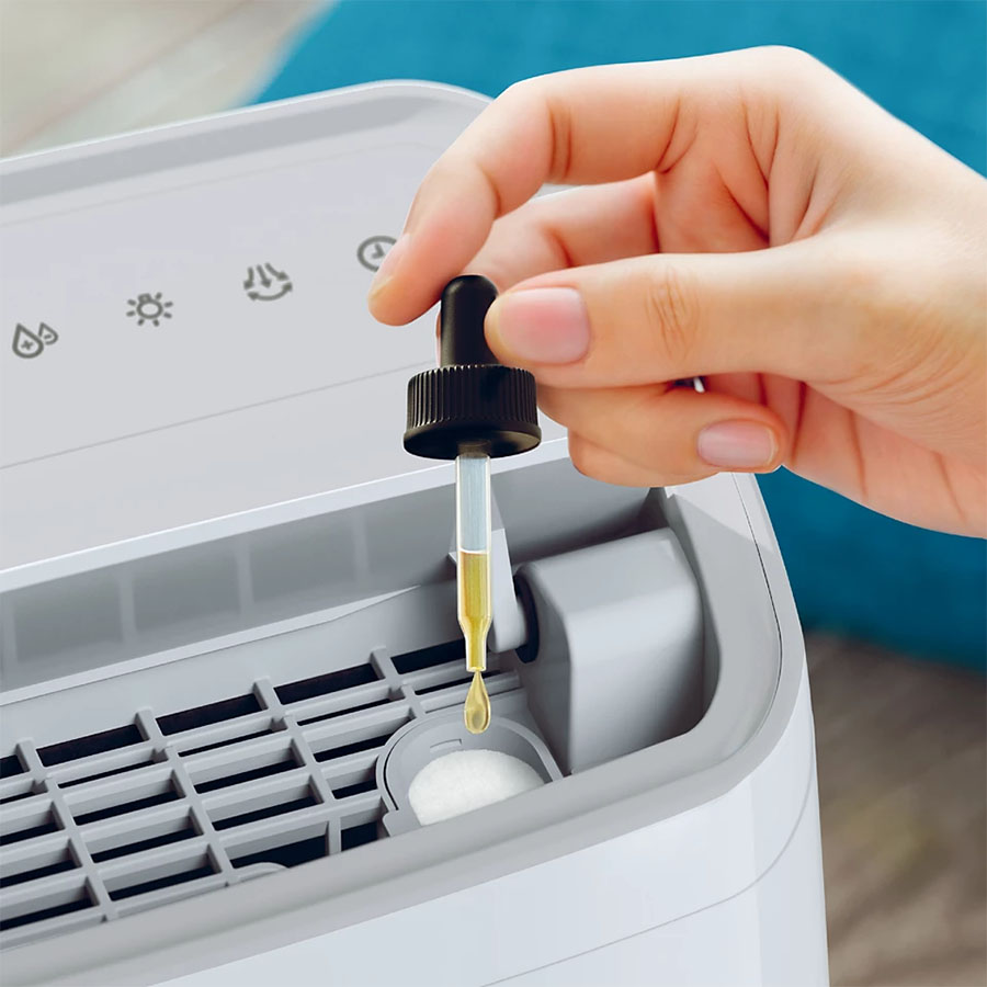 Máy hút ẩm Philips DE3306/11