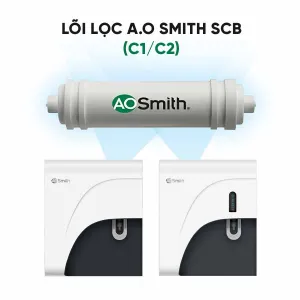 Lõi lọc A.O Smith SCB (C1/C2)