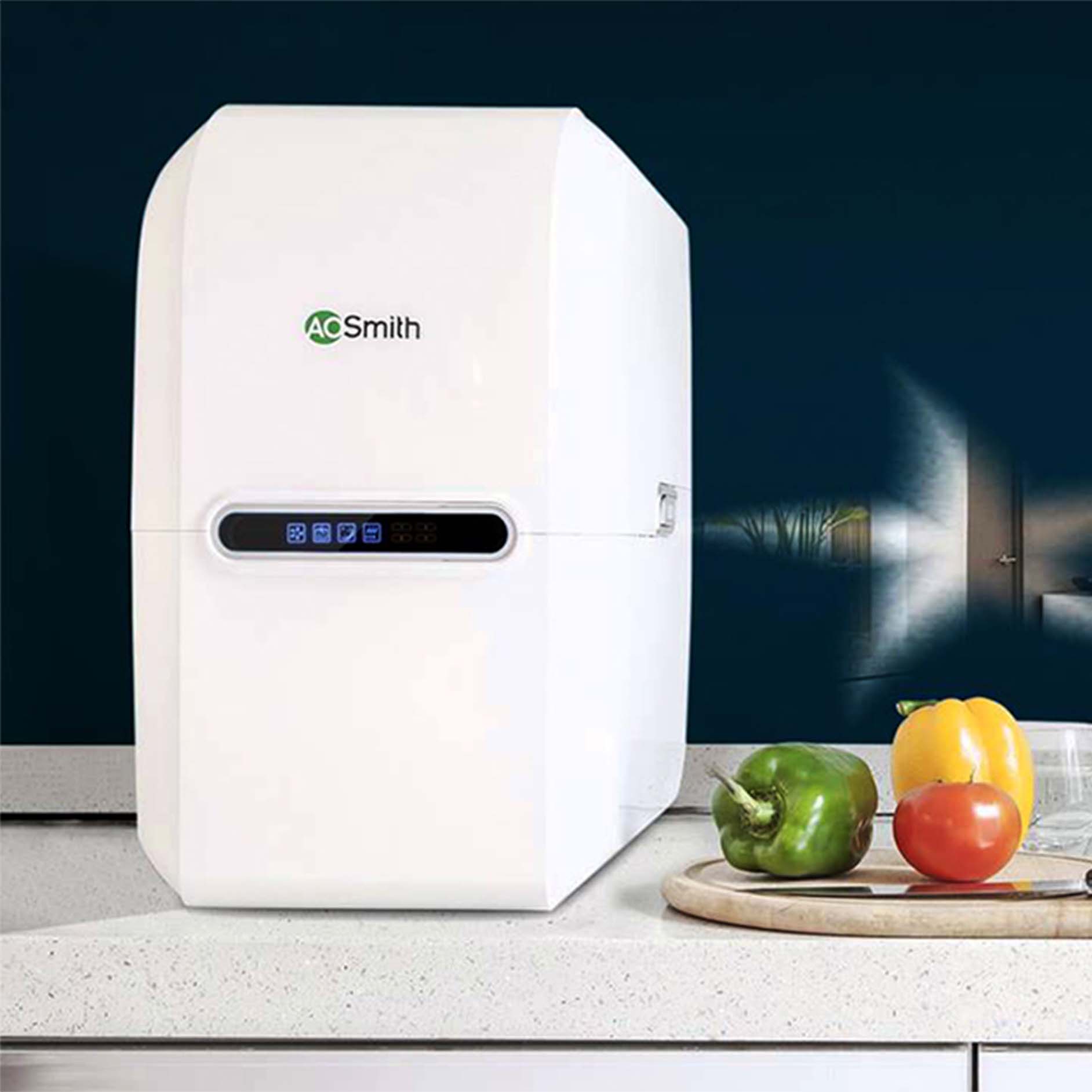 Ảnh thực tế Máy lọc nước RO dưới chậu rửa A.O Smith AR75-A-S-2