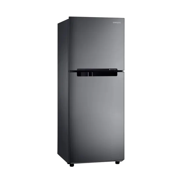 Tủ lạnh Samsung Inverter 208 lít RT19M300BGS